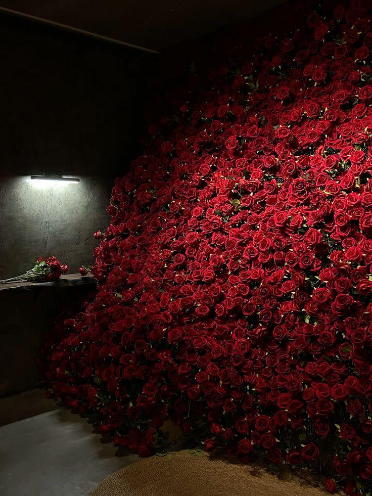Whimsical Cascade of Petal Hues
